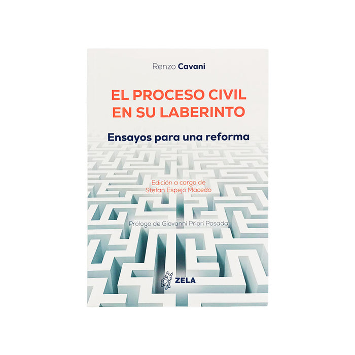 El Proceso Civil en su Laberinto: Ensayos para una reforma