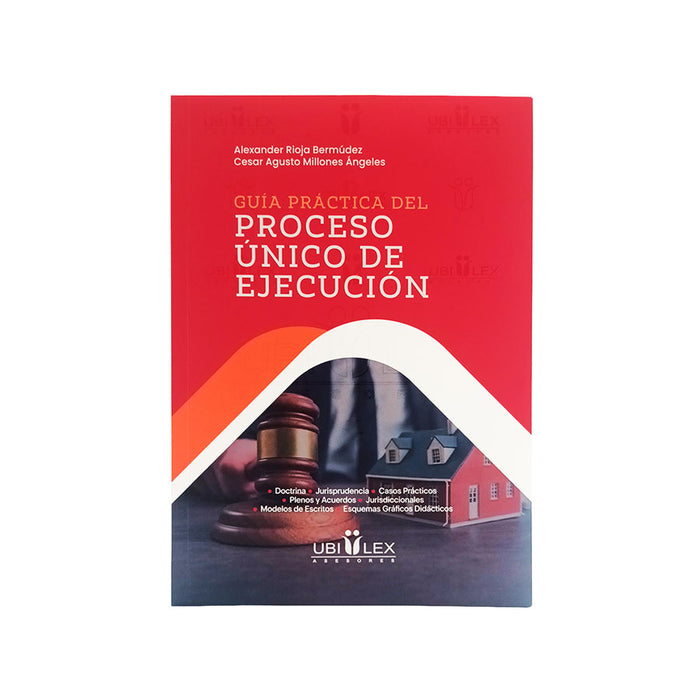 Guía Práctica del Proceso Único de Ejecución