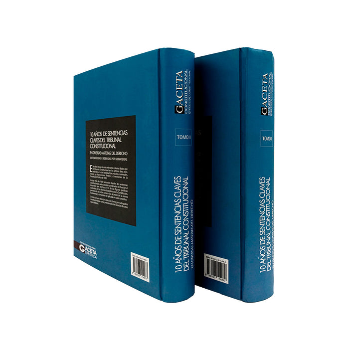 10 Anos de Sentencias Claves del Tribunal Constitucional en Diversas Materias del Derecho