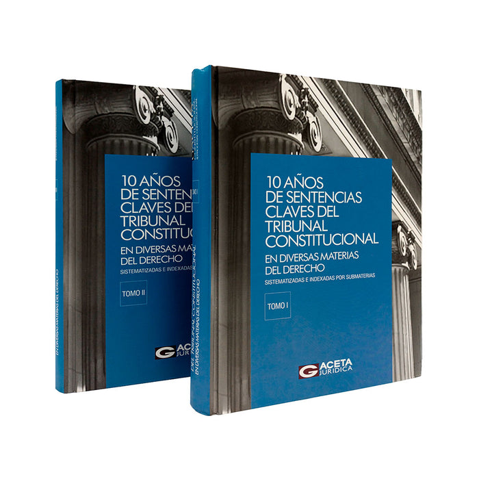 10 Anos de Sentencias Claves del Tribunal Constitucional en Diversas Materias del Derecho