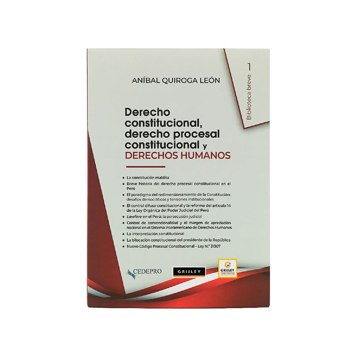 Derecho Constitucional, Derecho Procesal Constitucional y Derechos Humanos