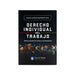 Derecho Individual del Trabajo- Lex y Luris - Marco Antonio Rodriguez - Libro Jurídico
