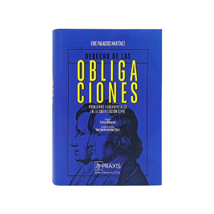 Derecho de las Obligaciones - Libro - Eric Palacios Martínez