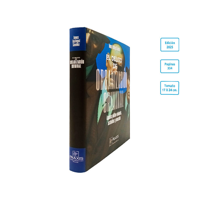 El Delito de Organizacion Criminal | Aspectos Politico Criminales Sustantivos y Procesales