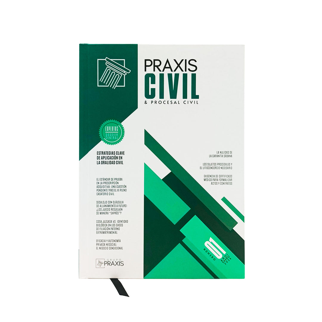 Estrategias Clave de Aplicación en la Oralidad Civil | Praxis Civil & Procesal Civil (Revista N.º 01)