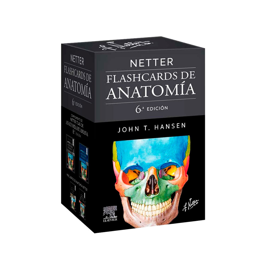 Netter Flashcards de Anatomía — Castellanos