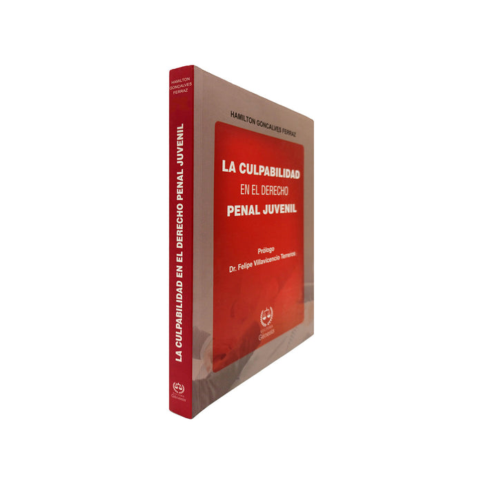 La Culpabilidad en el Derecho Penal Juvenil