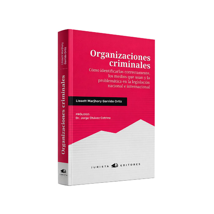 Organizaciones Criminales | Cómo Identificarlas Correctamente, los Medios que usan y la Problemática en la Legislación Nacional e Internacional