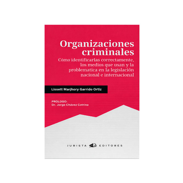 Organizaciones Criminales | Cómo Identificarlas Correctamente, los Medios que usan y la Problemática en la Legislación Nacional e Internacional