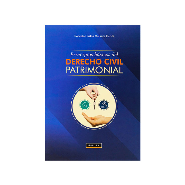 Principios Básicos del Derecho Civil Patrimonial