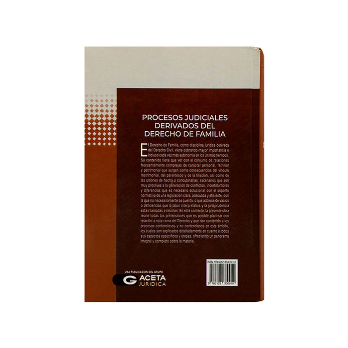 Procesos Judiciales Derivados del Derecho de Familia