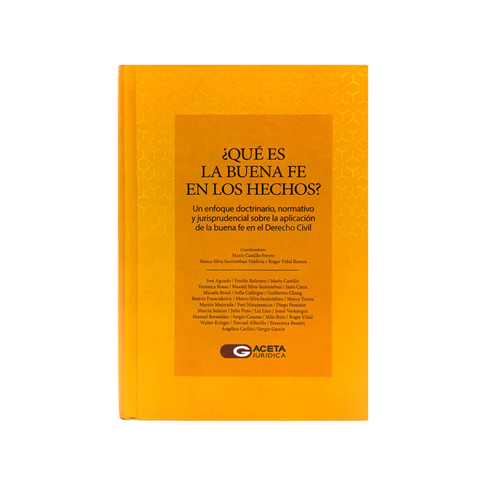 ¿Que es la Buena Fe en los Hechos? - Un Enfoque Doctrinario, Normativo y Jurisprudencial sobre la Aplicación de la Buena Fe en el Derecho Civil